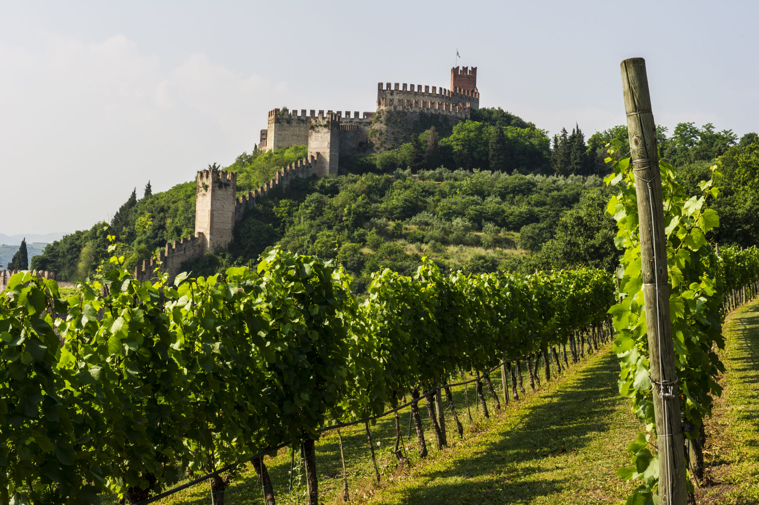 Cantina di Soave